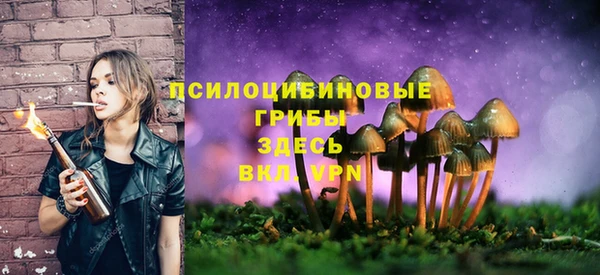 экстази Абинск
