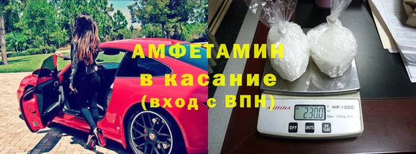 прущие грибы Кодинск