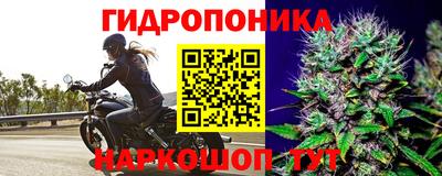твердый Краснокаменск