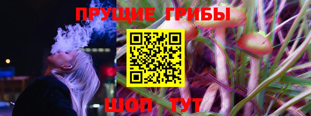 Галлюциногенные грибы GOLDEN TEACHER  Вход с VPN  Красноармейск 